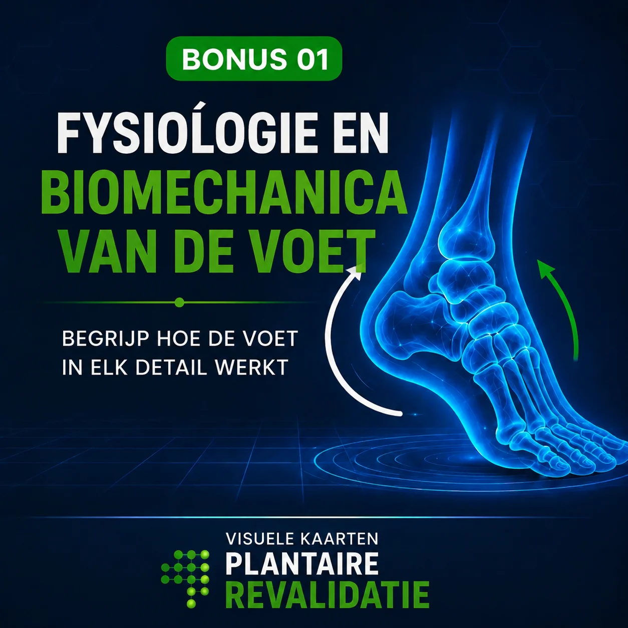 Fysiologie en Biomechanica van de Voet