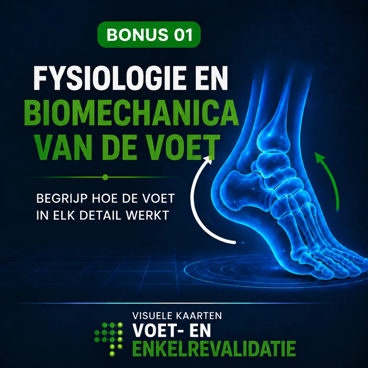 Fysiologie en biomechanica van de voet